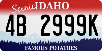 ID license plate 4B2999K