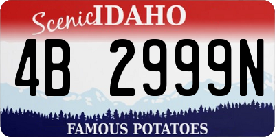 ID license plate 4B2999N