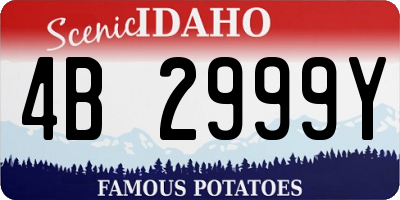 ID license plate 4B2999Y