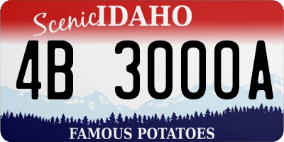 ID license plate 4B3000A