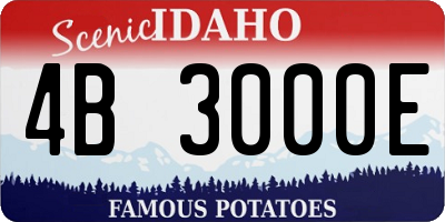 ID license plate 4B3000E