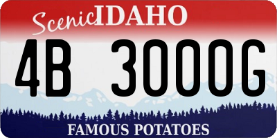 ID license plate 4B3000G