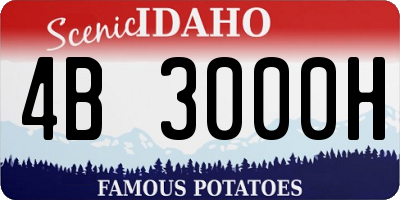 ID license plate 4B3000H