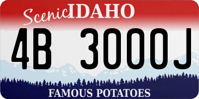 ID license plate 4B3000J
