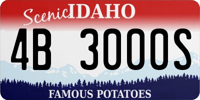 ID license plate 4B3000S