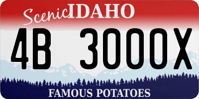 ID license plate 4B3000X