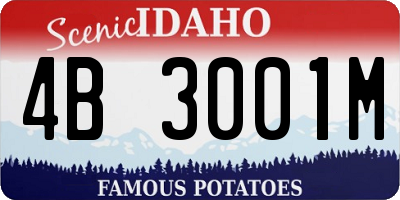 ID license plate 4B3001M