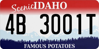 ID license plate 4B3001T