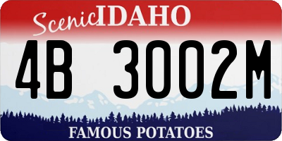 ID license plate 4B3002M