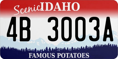ID license plate 4B3003A