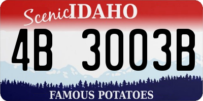ID license plate 4B3003B