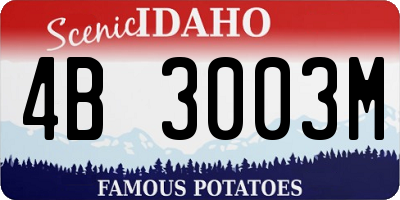 ID license plate 4B3003M