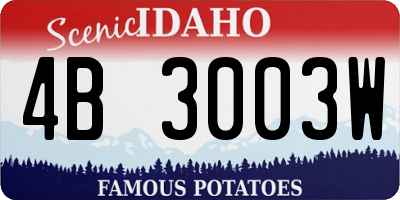 ID license plate 4B3003W