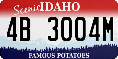 ID license plate 4B3004M