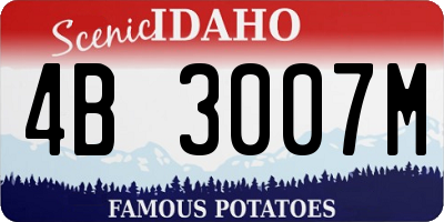 ID license plate 4B3007M