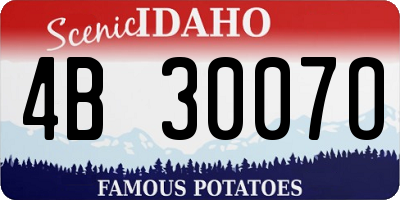 ID license plate 4B3007O