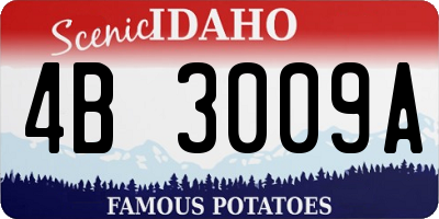 ID license plate 4B3009A