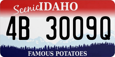 ID license plate 4B3009Q