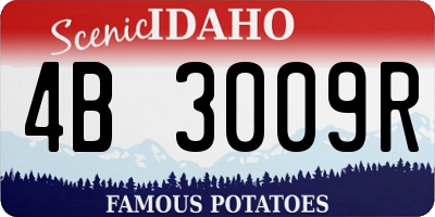 ID license plate 4B3009R