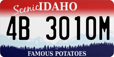 ID license plate 4B3010M