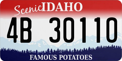ID license plate 4B3011O
