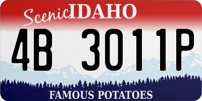 ID license plate 4B3011P