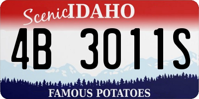 ID license plate 4B3011S