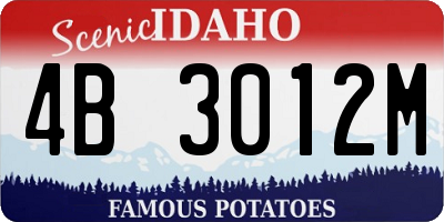 ID license plate 4B3012M