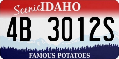 ID license plate 4B3012S