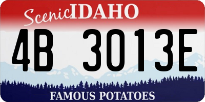 ID license plate 4B3013E