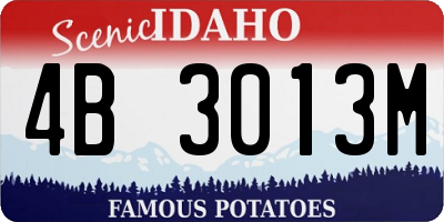 ID license plate 4B3013M