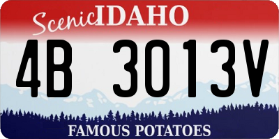 ID license plate 4B3013V