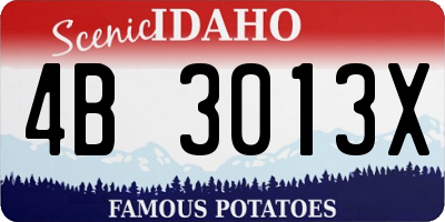 ID license plate 4B3013X