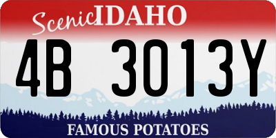 ID license plate 4B3013Y
