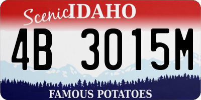 ID license plate 4B3015M
