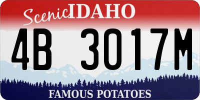 ID license plate 4B3017M