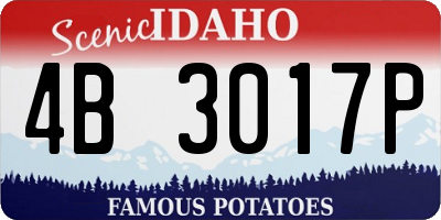 ID license plate 4B3017P