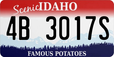 ID license plate 4B3017S