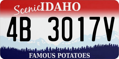 ID license plate 4B3017V