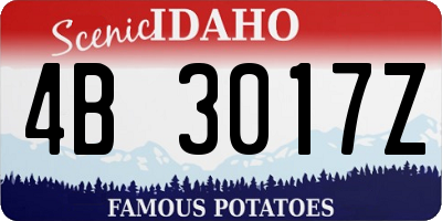 ID license plate 4B3017Z