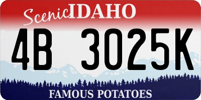 ID license plate 4B3025K