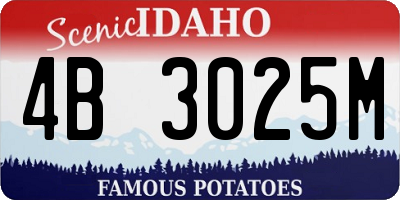 ID license plate 4B3025M