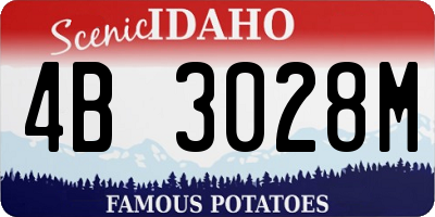 ID license plate 4B3028M