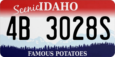 ID license plate 4B3028S