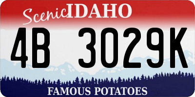 ID license plate 4B3029K