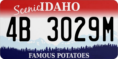 ID license plate 4B3029M