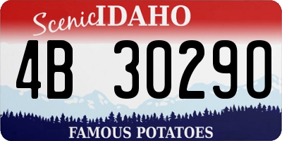 ID license plate 4B3029O