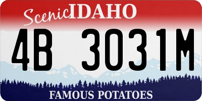 ID license plate 4B3031M