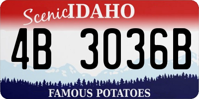 ID license plate 4B3036B