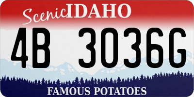 ID license plate 4B3036G